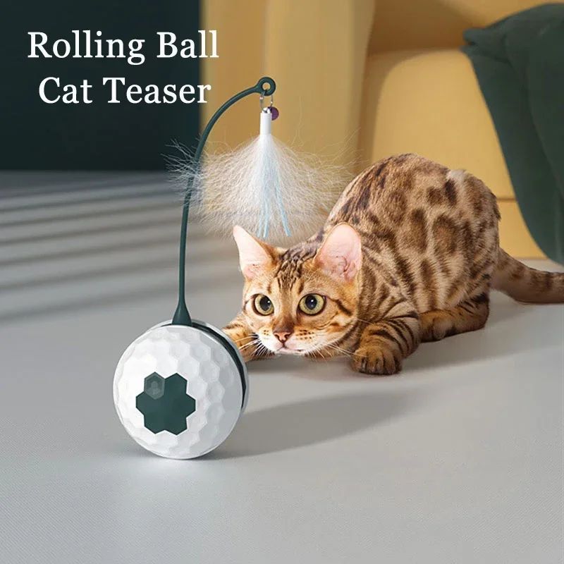 Cat Toy Cat Teaser Stick To Relieve Boredom Resistance Bite Cat Supplies Self-Moving Irregular With USB Connect