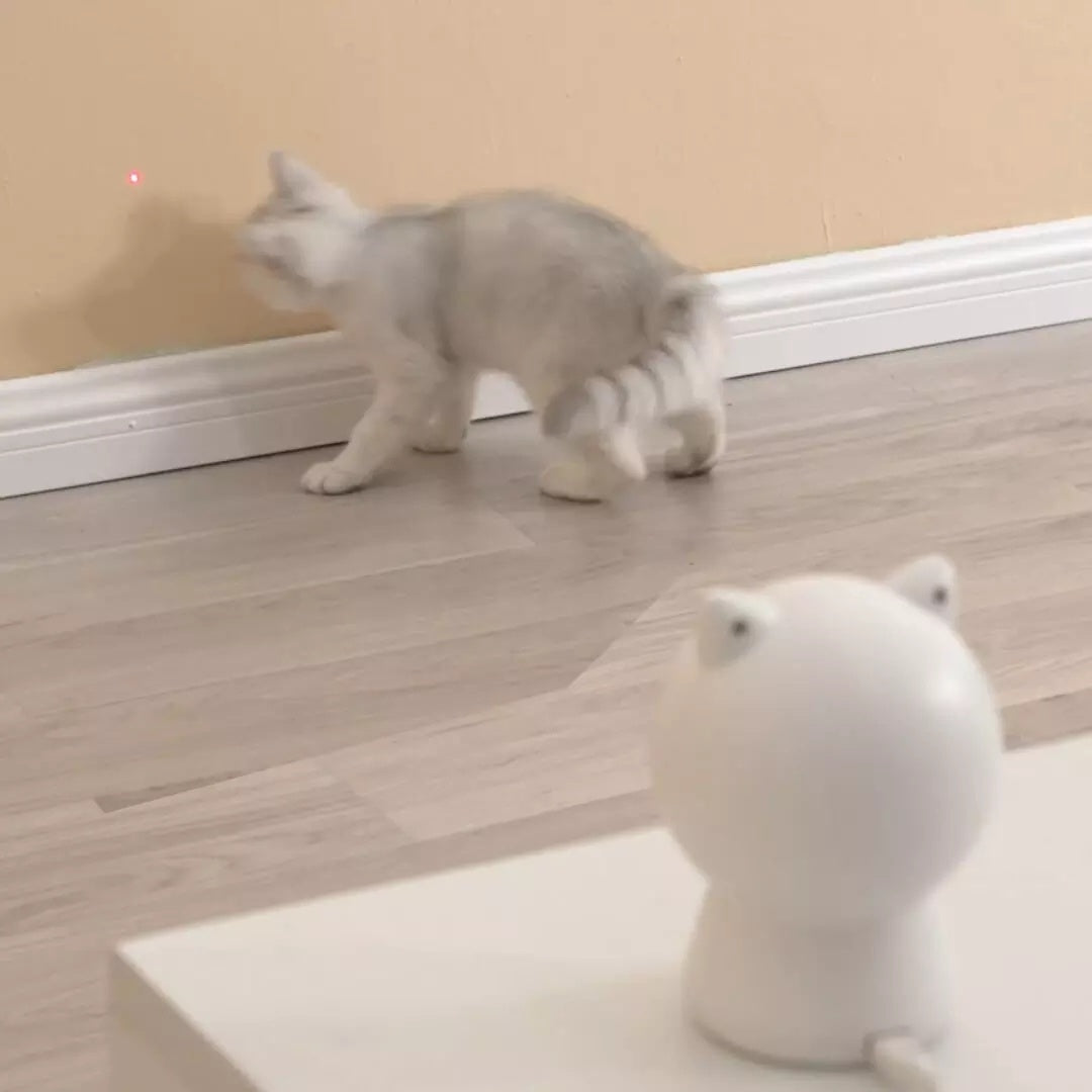 Smart red light cat toy