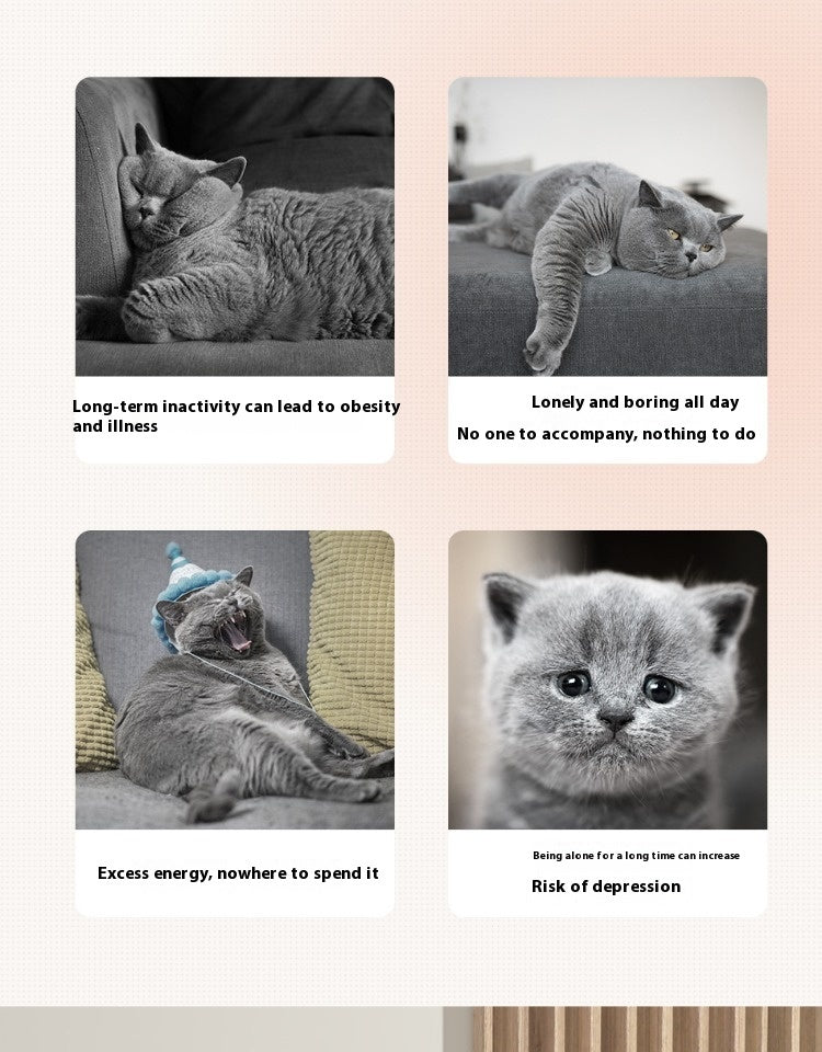 Cat's Paw Laser Toys Intelligent Interaction Three Modes Relieving Stuffy Artifact